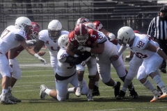 aguilas-blancas-leones-anahuac-intermedia-10