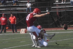 aguilas-blancas-leones-anahuac-intermedia-11
