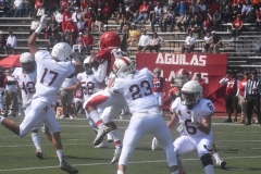 aguilas-blancas-leones-anahuac-intermedia-17