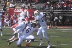 aguilas-blancas-leones-anahuac-intermedia-18