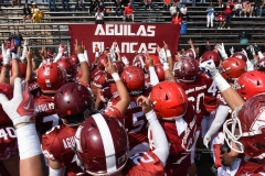 aguilas-blancas-leones-anahuac-intermedia-2