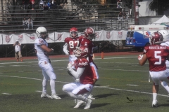 aguilas-blancas-leones-anahuac-intermedia-21