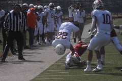 aguilas-blancas-leones-anahuac-intermedia-23