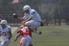 aguilas-blancas-leones-anahuac-intermedia-24