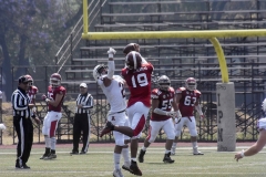 aguilas-blancas-leones-anahuac-intermedia-35