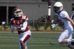 aguilas-blancas-leones-anahuac-intermedia-38