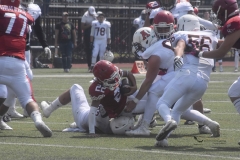 aguilas-blancas-leones-anahuac-intermedia-43