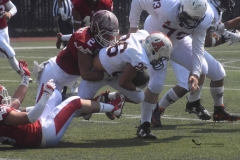 aguilas-blancas-leones-anahuac-intermedia-44