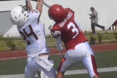 aguilas-blancas-leones-anahuac-intermedia-45