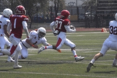 aguilas-blancas-leones-anahuac-intermedia-47