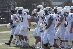 aguilas-blancas-leones-anahuac-intermedia-5