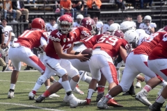 aguilas-blancas-leones-anahuac-intermedia-53