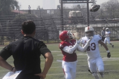 aguilas-blancas-leones-anahuac-intermedia-9