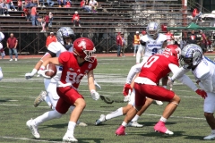 aguilas-blancas-borregos-ccm-2022-onefa-liga-mayor-14