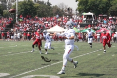 aguilas-blancas-borregos-ccm-2022-onefa-liga-mayor-24