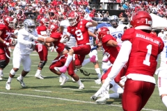 aguilas-blancas-borregos-ccm-2022-onefa-liga-mayor-26