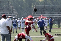 aguilas-blancas-borregos-ccm-2022-onefa-liga-mayor-3