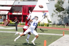 aguilas-blancas-borregos-ccm-2022-onefa-liga-mayor-31