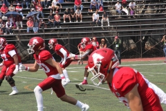 aguilas-blancas-borregos-ccm-2022-onefa-liga-mayor-33