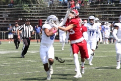 aguilas-blancas-borregos-ccm-2022-onefa-liga-mayor-49