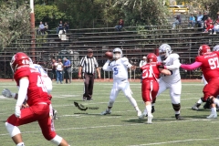aguilas-blancas-borregos-ccm-2022-onefa-liga-mayor-51