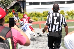 aguilas-blancas-borregos-ccm-2022-onefa-liga-mayor-56