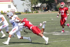aguilas-blancas-borregos-ccm-2022-onefa-liga-mayor-61