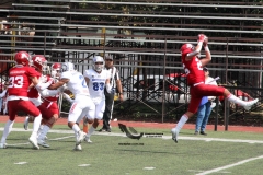 aguilas-blancas-borregos-ccm-2022-onefa-liga-mayor-73