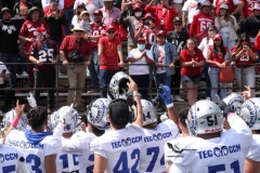 aguilas-blancas-borregos-ccm-2022-onefa-liga-mayor-74