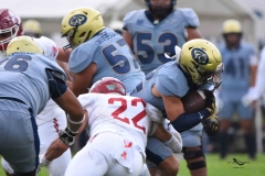 pumas-acatlan-aguilas-blancas-onefa-2025-47