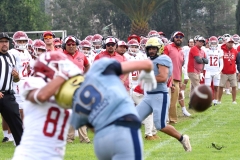 pumas-acatlan-aguilas-blancas-onefa-2025-48