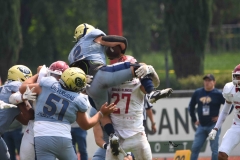 pumas-acatlan-aguilas-blancas-onefa-2025-71
