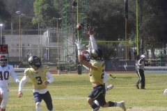 pumas-acatlan-aguilas-blancas-intermedia-2022-19