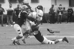 pumas-acatlan-borregos-gdl-onefa-2022-10