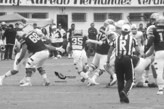 pumas-acatlan-borregos-gdl-onefa-2022-11