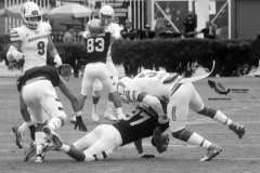 pumas-acatlan-borregos-gdl-onefa-2022-13