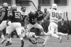 pumas-acatlan-borregos-gdl-onefa-2022-24