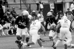 pumas-acatlan-borregos-gdl-onefa-2022-27