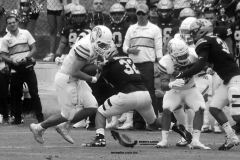 pumas-acatlan-borregos-gdl-onefa-2022-28