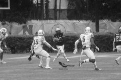 pumas-acatlan-borregos-gdl-onefa-2022-3
