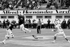 pumas-acatlan-borregos-gdl-onefa-2022-30