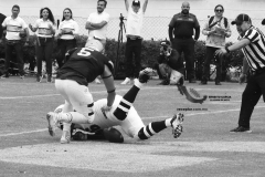 pumas-acatlan-borregos-gdl-onefa-2022-33