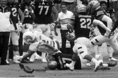 pumas-acatlan-borregos-gdl-onefa-2022-7