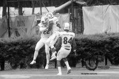 pumas-acatlan-borregos-gdl-onefa-2022-98
