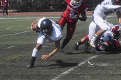 aguilas-blancas-pumas-intermedia-2020-9