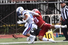 aguilas-blancas-borregos-cem-onefa-2023-119