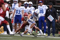 aguilas-blancas-borregos-cem-onefa-2023-134