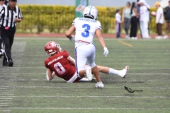 aguilas-blancas-borregos-cem-onefa-2023-173