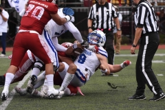aguilas-blancas-borregos-cem-onefa-2023-202