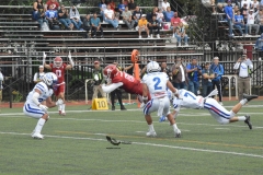 aguilas-blancas-borregos-cem-onefa-2023-25
